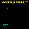 GOODS J123636.72+620719.7