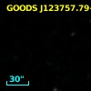 GOODS J123757.79+621613.5