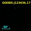 GOODS J123636.17+620639.2