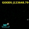 GOODS J123648.79+620807.1