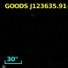 GOODS J123635.91+620634.6