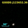 GOODS J123652.36+620812.6