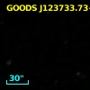GOODS J123733.73+621256.6