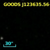 GOODS J123635.56+620608.6