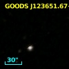 GOODS J123651.67+620751.3