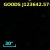 GOODS J123642.57+620646.4