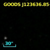 GOODS J123636.85+620608.2