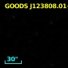GOODS J123808.01+621651.8