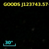 GOODS J123743.57+621245.1