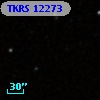 TKRS 12273