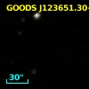 GOODS J123651.30+620648.8