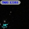 TKRS 12393