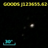 GOODS J123655.62+620731.7