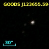 GOODS J123655.59+620722.7