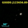 GOODS J123656.89+620728.0