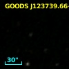 GOODS J123739.66+621233.3