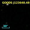 GOODS J123648.48+620644.6