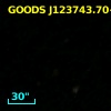 GOODS J123743.70+621310.2