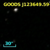 GOODS J123649.59+620651.3