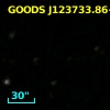 GOODS J123733.86+621211.5