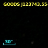 GOODS J123743.55+621319.8