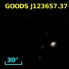 GOODS J123657.37+620744.4