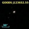 GOODS J123652.55+620717.3