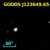 GOODS J123649.66+620738.3