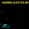 GOODS J123732.85+621221.5
