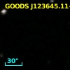 GOODS J123645.11+620647.6