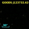 GOODS J123732.62+621221.5
