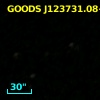 GOODS J123731.08+621212.0