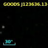 GOODS J123636.13+620544.3