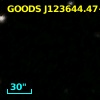 GOODS J123644.47+620650.1