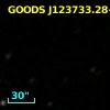 GOODS J123733.28+621234.2