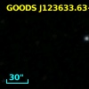 GOODS J123633.63+620530.3