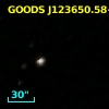 GOODS J123650.58+620735.4