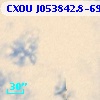 CXOU J053842.8-690601
