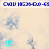 CXOU J053843.0-690610