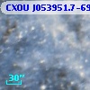 CXOU J053951.7-690815