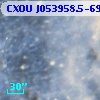 CXOU J053958.5-690610