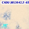 CXOU J053842.7-690556