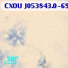 CXOU J053843.0-690559
