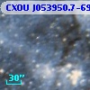 CXOU J053950.7-691047