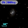 SN 2008cy