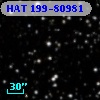 HAT 199-80981