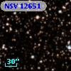 NSV 12651
