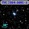TYC 2164-1601-1