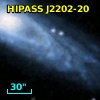HIPASS J2202-20