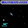 IRAS F16175+5131